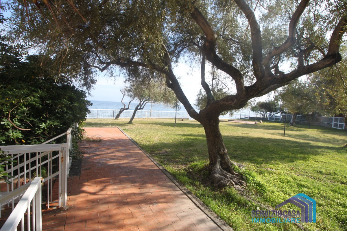  letojanni affitto quart: letojanni servizio-casa-di-francesco-sciacca