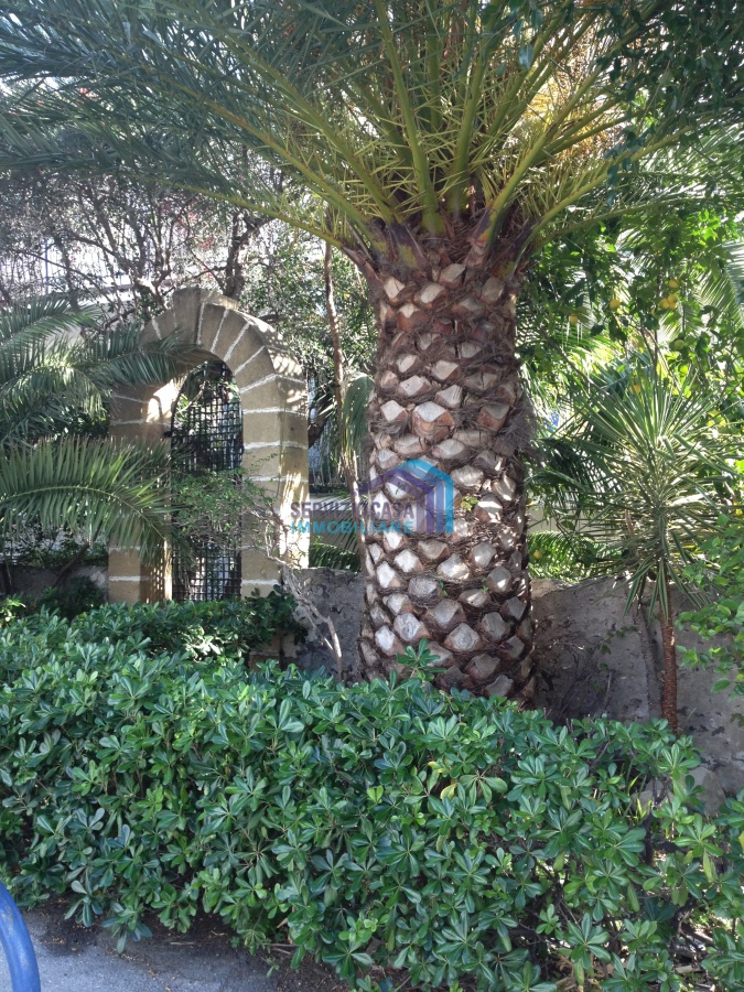 Appartamento GIARDINI-NAXOS vendita  Giardini-Naxos  Servizio Casa di Francesco Sciacca